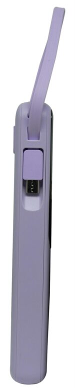 Viaking Power Bank 10000 mAh Capacity VGPBK10AHPLE - Image 5